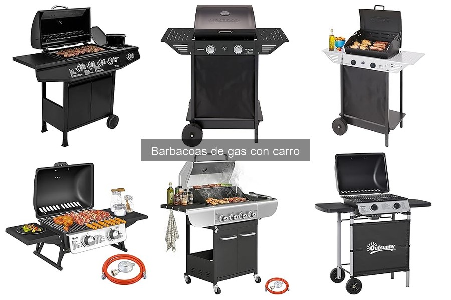 Recetas fáciles para barbacoas de gas con carro