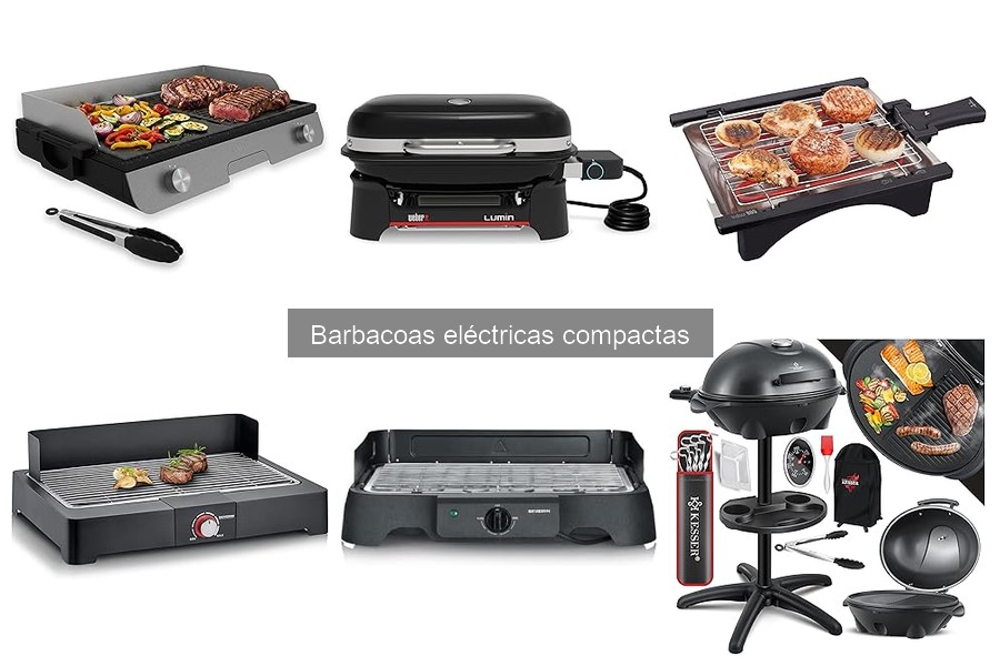 Recetas fáciles para barbacoas eléctricas compactas | Ideas deliciosas