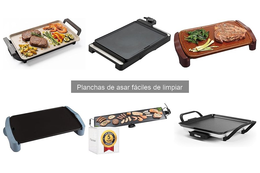 Recetas fáciles para planchas de asar | Cocina sin complicaciones
