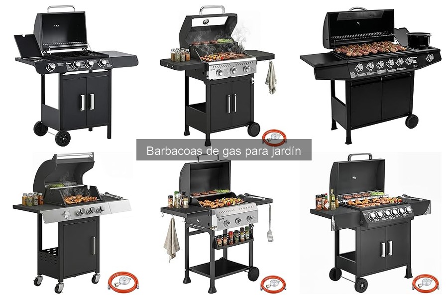 Recetas fáciles y deliciosas para barbacoa de gas en jardín