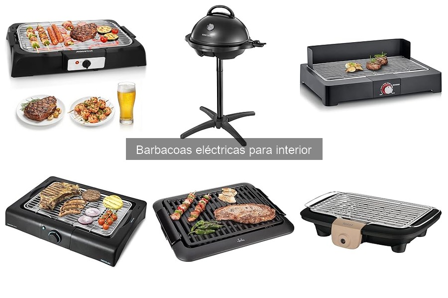 Tipos de Barbacoas Eléctricas para Interior: Guía Completa